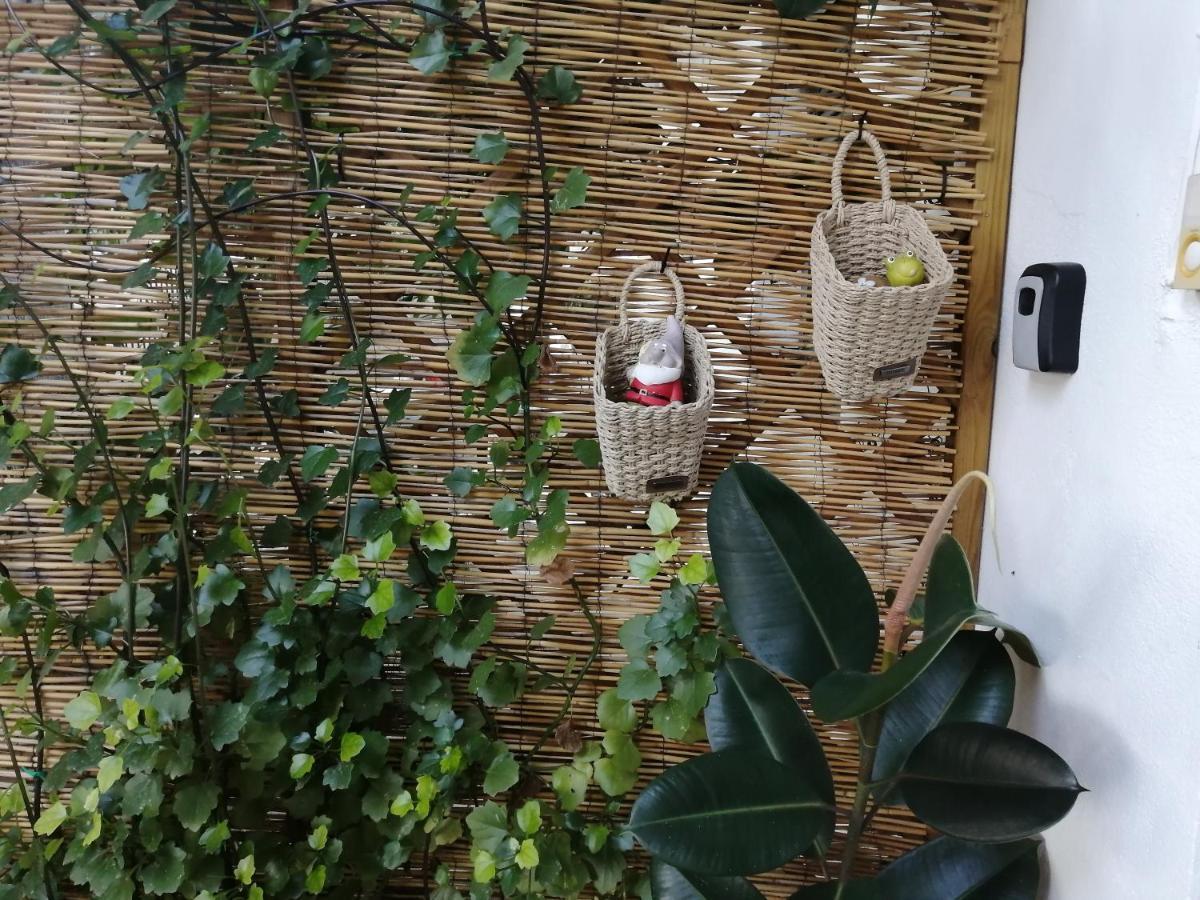 Olga'S Cozy Nest , Apartment In Ano Korakiana. מראה חיצוני תמונה