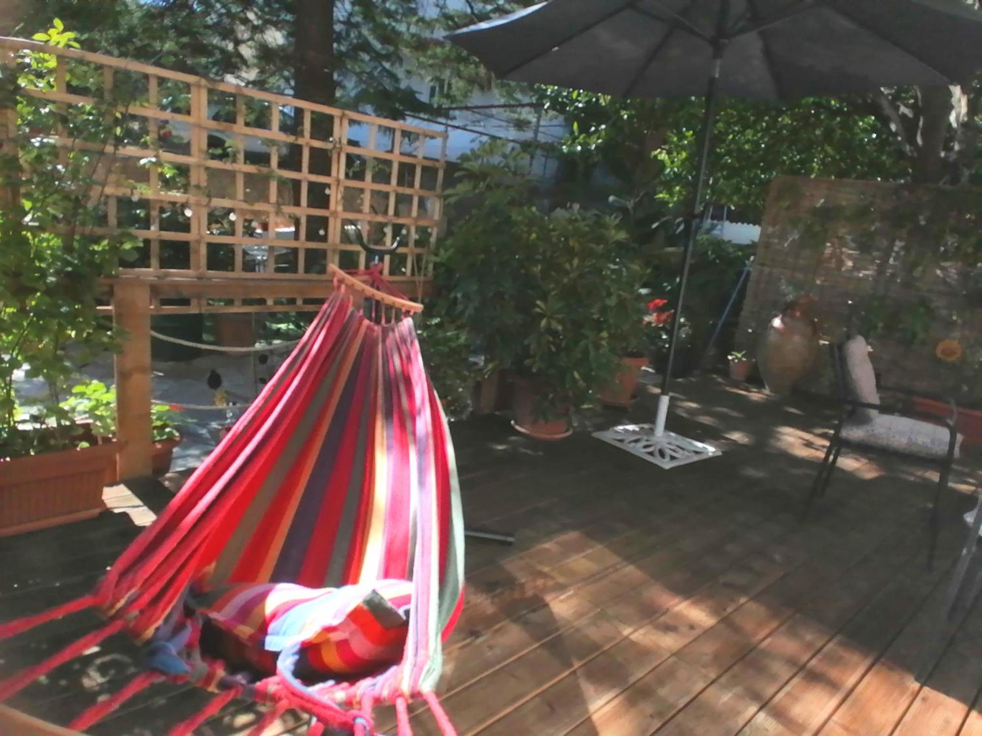 Olga'S Cozy Nest , Apartment In Ano Korakiana. מראה חיצוני תמונה