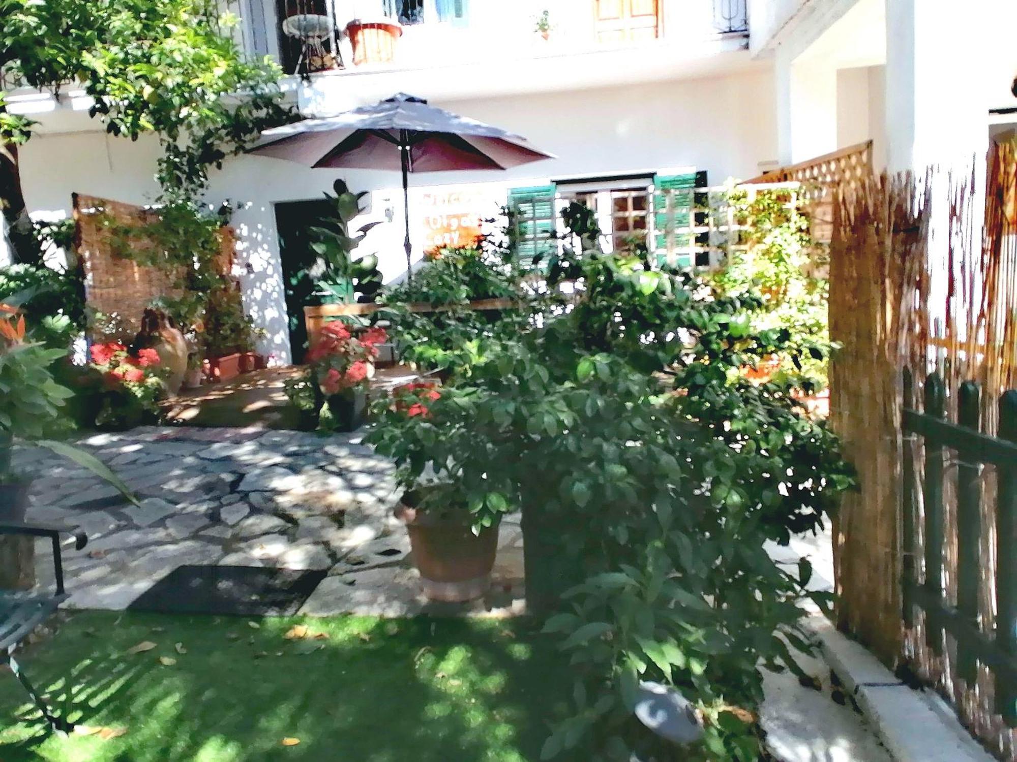 Olga'S Cozy Nest , Apartment In Ano Korakiana. מראה חיצוני תמונה