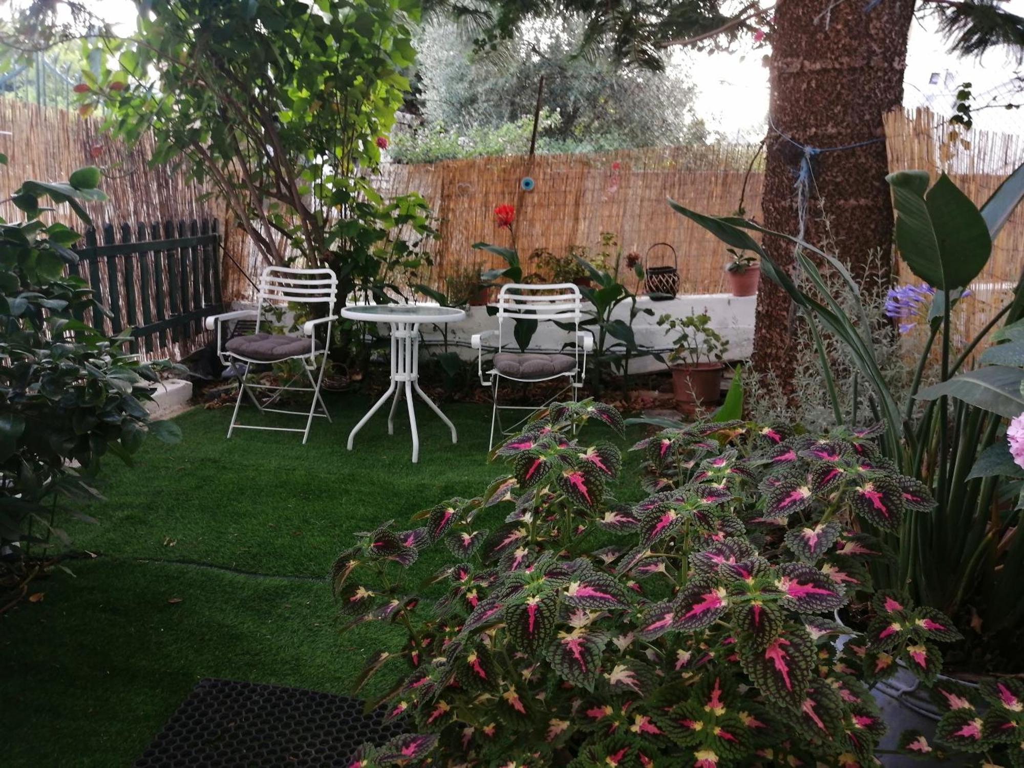Olga'S Cozy Nest , Apartment In Ano Korakiana. מראה חיצוני תמונה