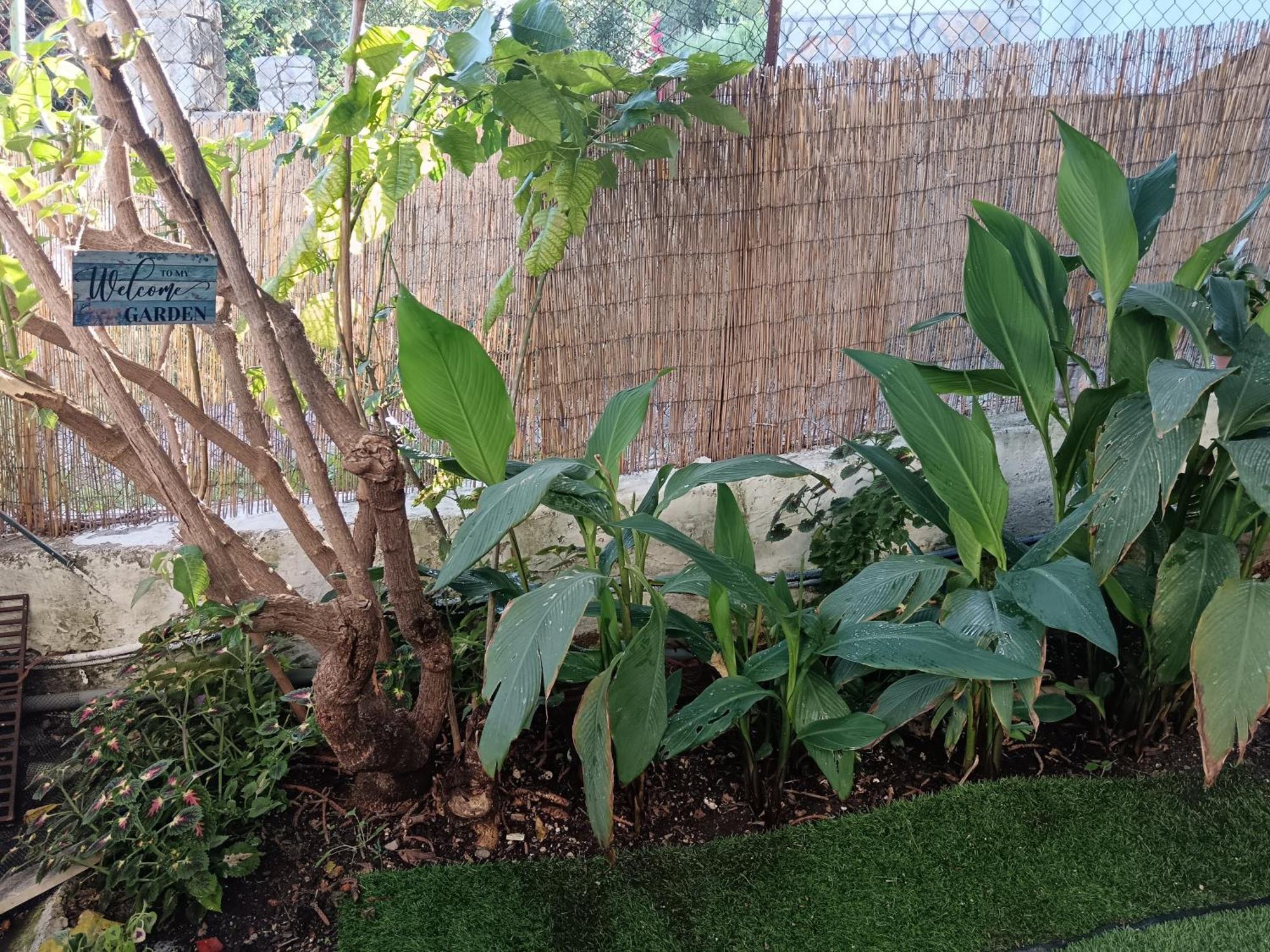 Olga'S Cozy Nest , Apartment In Ano Korakiana. מראה חיצוני תמונה